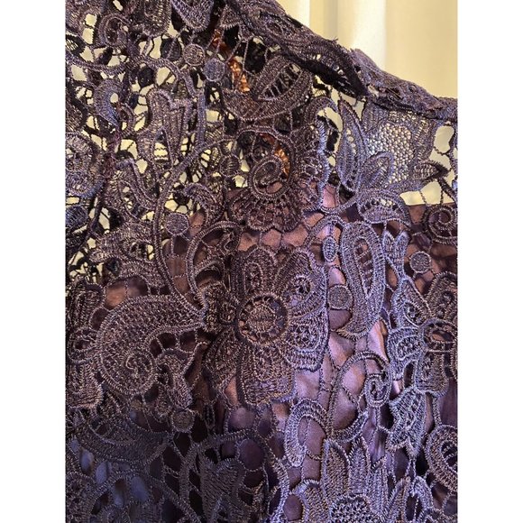 Clocolor Eggplant Purple, Lace Overlay Wiggle Style Dress - See Measurements - Picture 3 of 10